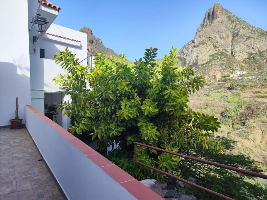 La Casa Vieja Villa Santa Cruz de Tenerife Luaran gambar